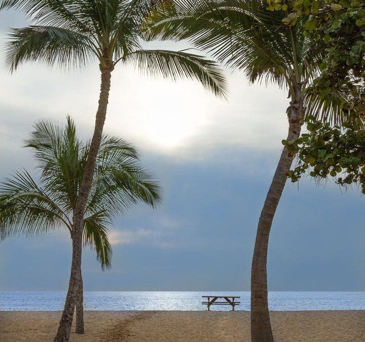 When Should You Visit Maui?