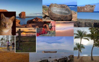 lost-on-lanai-cat-sanctuary-maui-activities-travel-tips