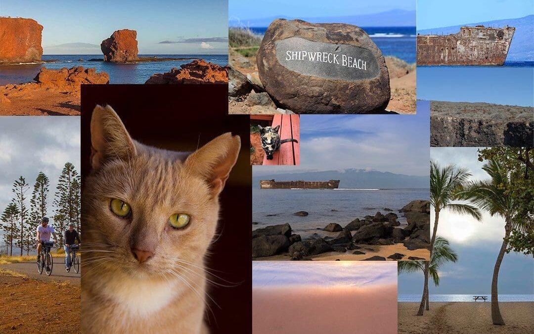 Day Trip to Lanai | Quick Summaries & Info for Lanai Itineraries