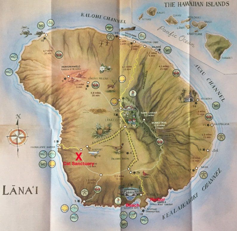 Map of Lāna‘i showing Harbor, Beach and Cat Sanctuary marked in Red and paved roads highlighted in Yellow.