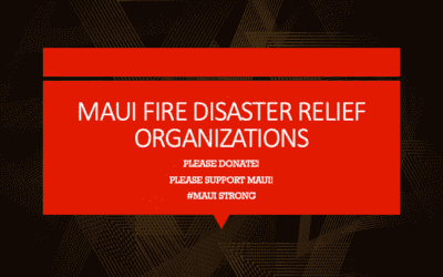 Maui Fires: Here is where you can Donate