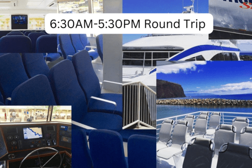 Ferry Round Trip Only for Independent Visitors 6:30AM-5:30PM