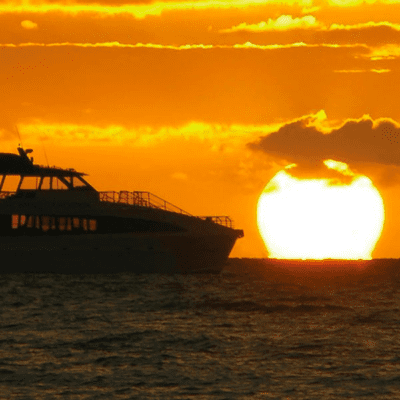 credit_pac_whale_ecoadventures_sunset_dinner_cruise_maui_lost_on_lanai_maalaea