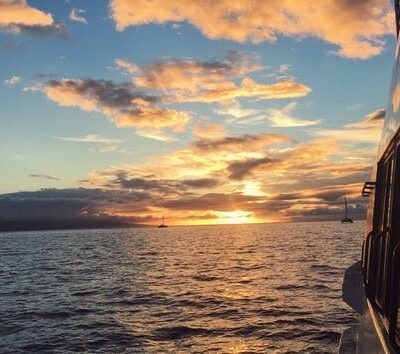 credit_pacwhale_sunset_whale_watch_maalaea_maui