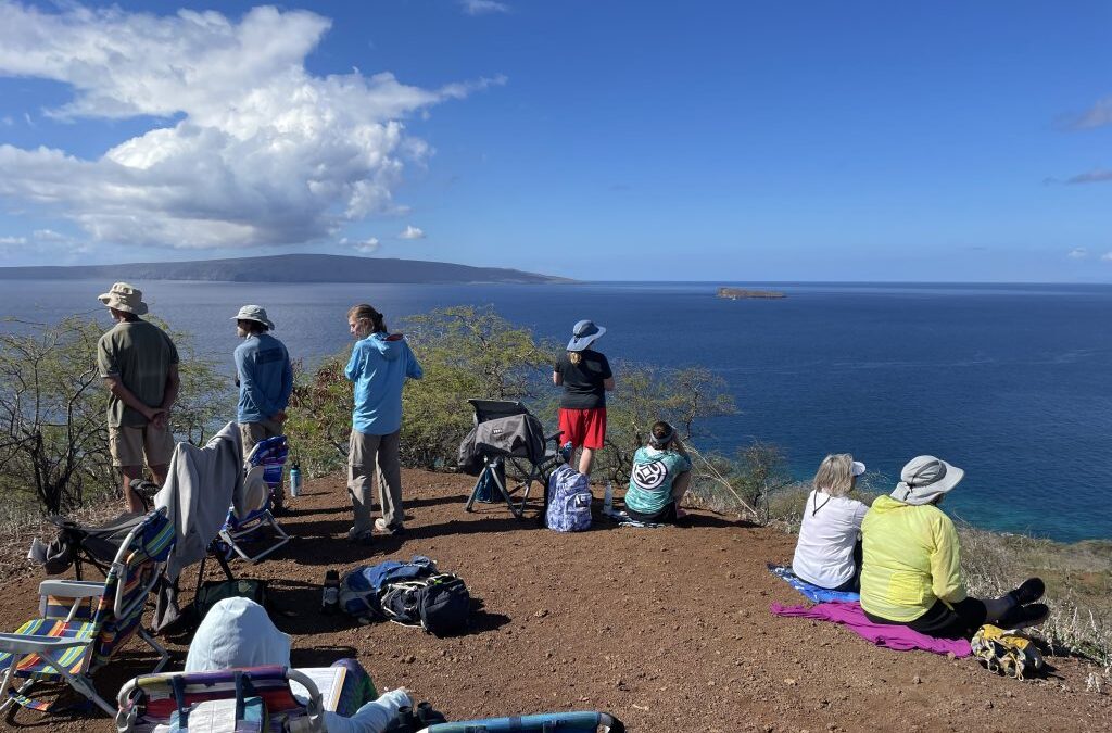 First Humpback Whale Count of the Year-2025