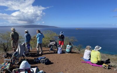 First Humpback Whale Count of the Year-2025