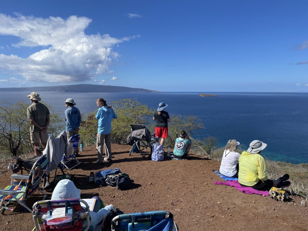 lost-on-lanai-cat-sanctuary-maui-activities-travel-tips