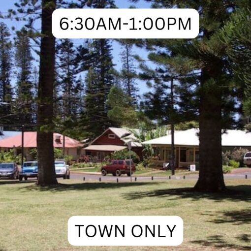 Thumbnail 630am-100pm Lanai City Ferry and Transfers Product