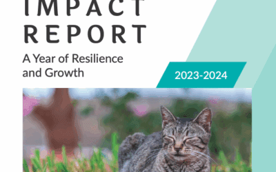 Lanai Cat Sanctuary Releases Impact Report 2023-2024