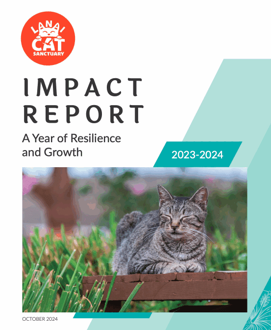 Lanai Cat Sanctuary Releases Impact Report 2023-2024
