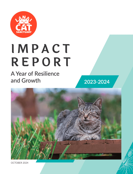 Impact Report Cover Cover page Impact Report for Lost on Lanai post about Lanai Cat Sanctuary