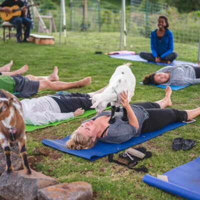 Picture Maui Goat Yoga Product Maui Activity Lost on Lanai
