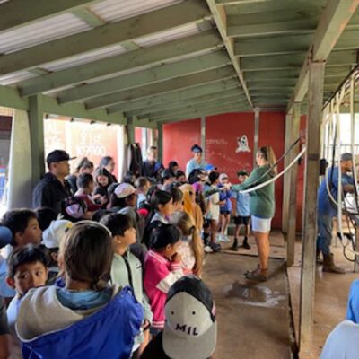 Pic Tour milking goats at Surfing Goat Dairy Maui Activity Lost on Lanai