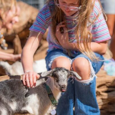 Pic petting a baby goat at Surfing Goat Dairy Maui Activity Lost on Lanai