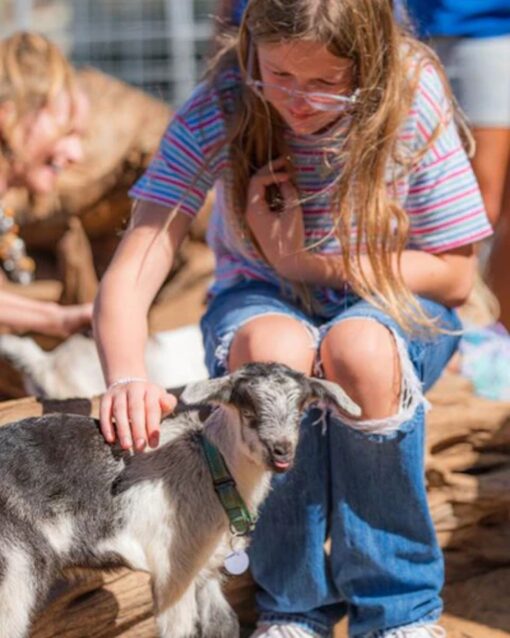 Pic petting a baby goat at Surfing Goat Dairy Maui Activity Lost on Lanai