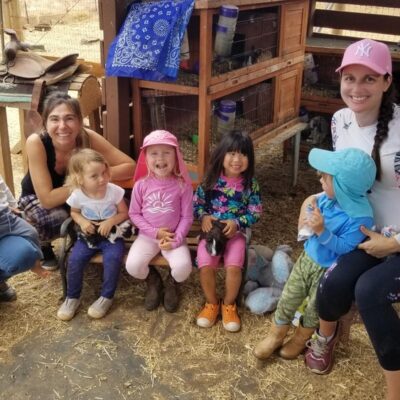 Petting Zoo Tour Daily Maui Animal Farm Maui Activities Lost on Lanai