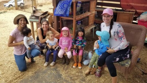 Petting Zoo Tour Daily Maui Animal Farm Maui Activities Lost on Lanai