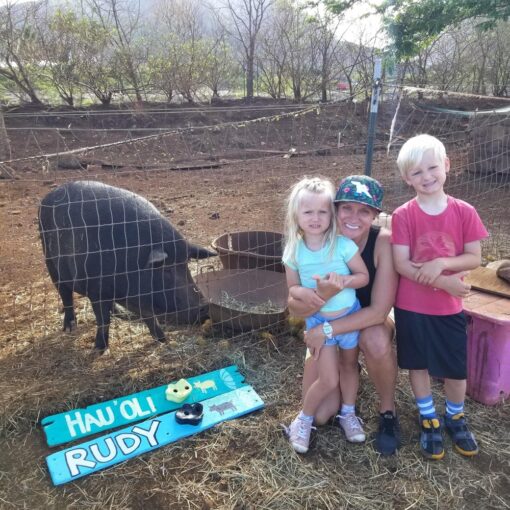 Pic Credit Maui Animal Farm Petting Zoo Tour