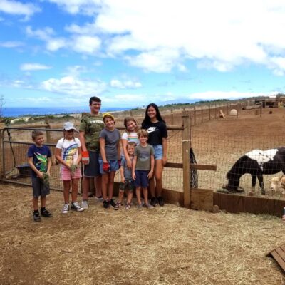 Picture Private Petting Zoo Tour Maui Animal Farm Maui Activities Lost on Lanai
