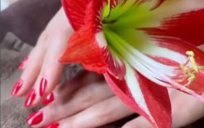 Lanai  Activities | Guide & Tips for Mimi’s Place Salon and Spa