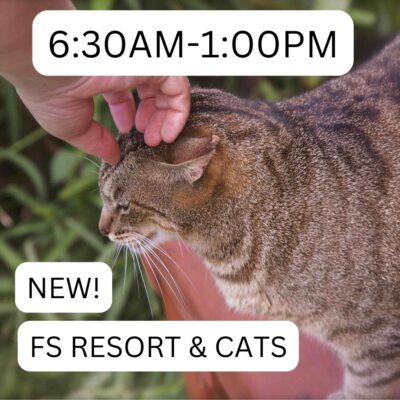 Product Thumbnail Four Seasons Lanai and Cat Sanctuary 630/100 Lost on Lanai