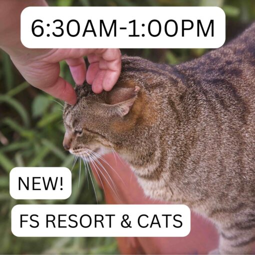 Product Thumbnail Four Seasons Lanai and Cat Sanctuary 630/100 Lost on Lanai