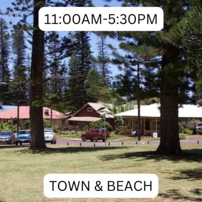 Pic Town and Beach Itinerary Lost on Lanai