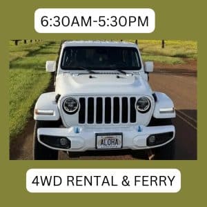 Image 4WD Rental on Lanai Lost on Lanai Package with Ferry Ticket