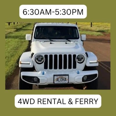 Image 4WD Rental on Lanai Lost on Lanai Package with Ferry Ticket