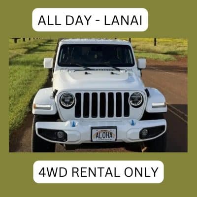 Lanai - Jeep/Bronco Rental Only - Airport or Town Pickup